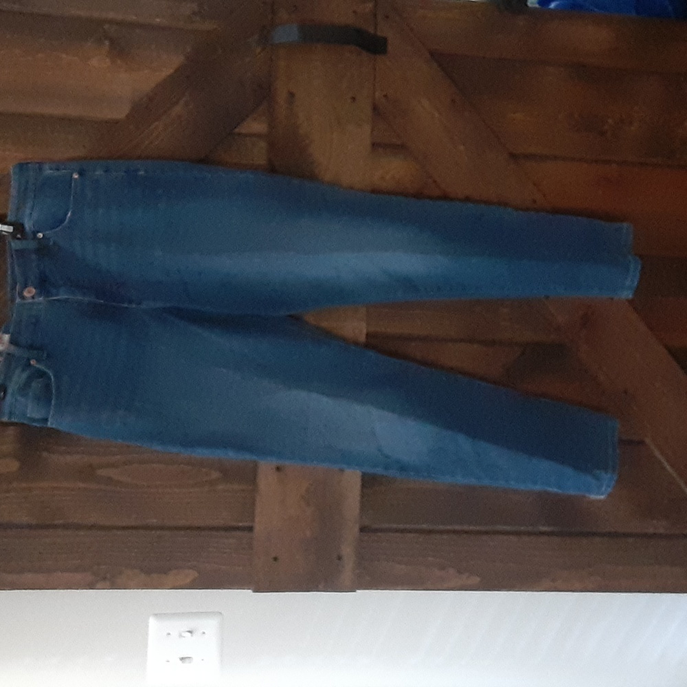 NWT  Bandolino Amy Straight 14 16 1/2 Waist Inseam  29 1/2